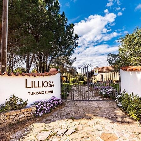 Casa Lilliosa Villa Campavaglio Exteriör bild