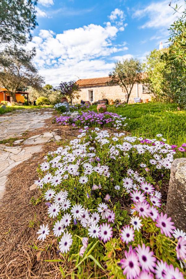 Casa Lilliosa Villa Campavaglio Exteriör bild
